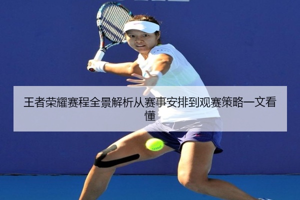 王者荣耀赛程全景解析从赛事安排到观赛策略一文看懂