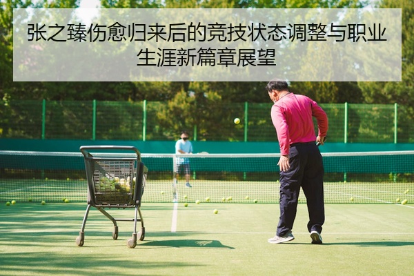张之臻伤愈归来后的竞技状态调整与职业生涯新篇章展望