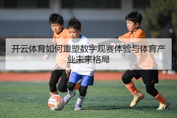 开云体育如何重塑数字观赛体验与体育产业未来格局